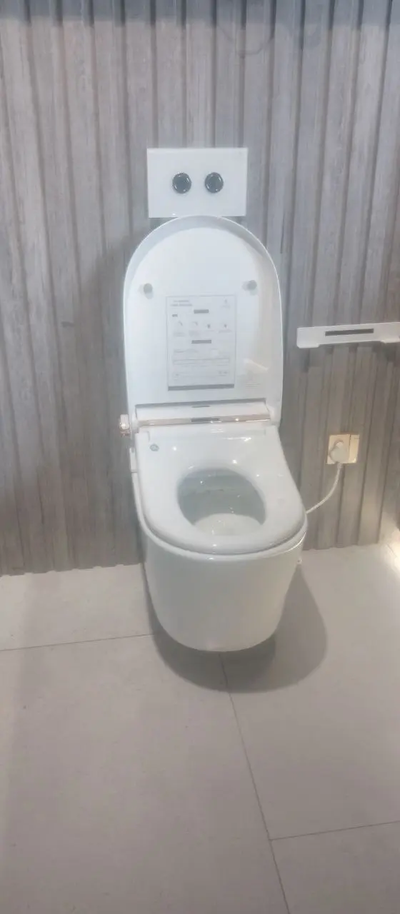Wall-hung Commode
